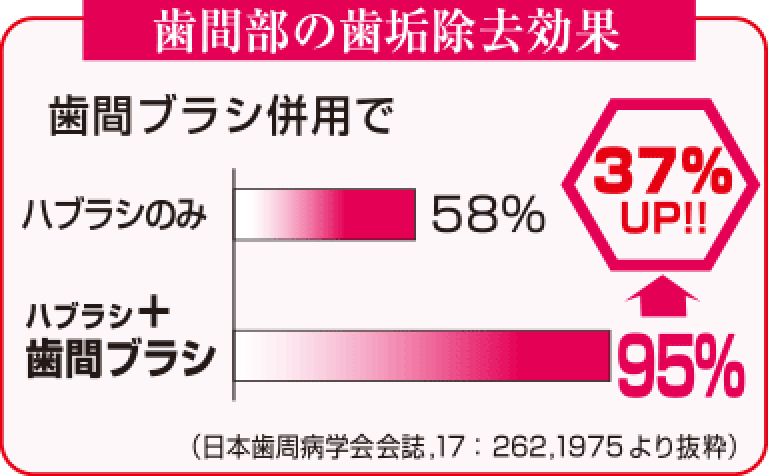 歯間部の歯垢除去効果